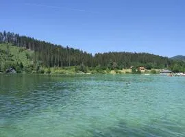 Nur 3 Min zu Skilift & 5Min zum See