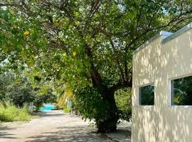 Athiri Inn Kelaa