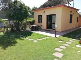 Sinfonia d'Estate