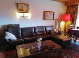 Appartement 53m2 gross möbliert mit Internet TV Küche Mit schöner Aussicht in zwischen Olten- Aarau