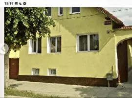 La Bibicu