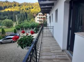 Casa Dana Olteanu, bed and breakfast en Moieciu de Sus