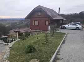Kuća sa bazenom za odmor i domjenke MARIS