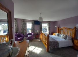 Bryncelyn Guesthouse, Cama e café (B&B) em Llanwrtyd Wells