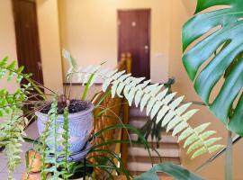Apartments, holiday rental in Umanʼ