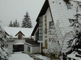 Vila Sorina, hotel cerca de Teleférico de Capra Neagra, Poiana Brasov