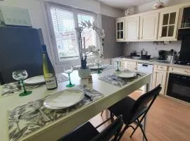 Le Bienvenue à Colmar - Parking Privé Inclus, Centre à Deux Pas