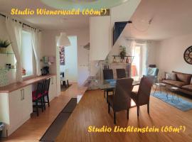 Studios Am Wienerwald, хотел близо до Замък Лихтенщайн, Hinterbrühl