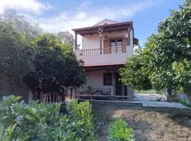 Traditional Thea Home