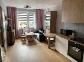 Uroczy apartament blisko Zalewu-Lublin