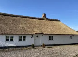 Holiday Home Aughe - 25km from the sea in Western Jutland by Interhome