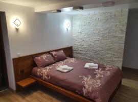 Rooms Poienita, hotel di Slănic-Moldova