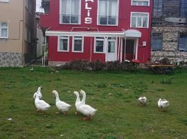 Ali's Pension ada alis