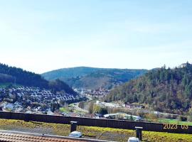 Apartment with panoramic views in the black forest, hotel with parking in Gernsbach