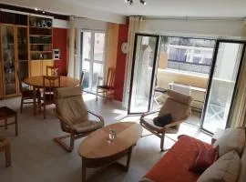 Sunny apartment in the heart of Hyères