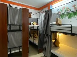 Alex Hostel