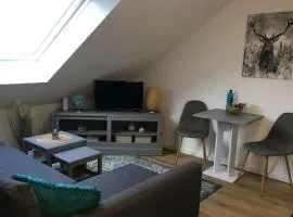 Gemütliches Apartment am Kurhaus in Dobel