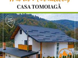 CASA TOMOIAGA, homestay in Vişeu de Sus