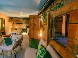Appartement la cabane du jardin (Troyes)
