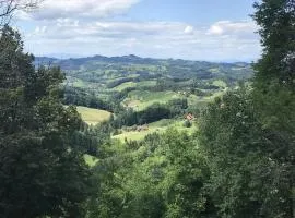 Ferienhaus am Weinberg