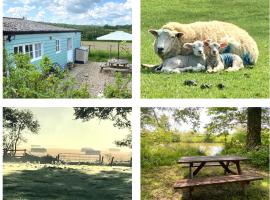 Rural Retreat in Idyllic Countryside - fishing & walks, gisting í Hawkhurst