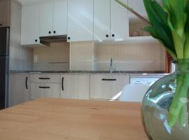 Apartamento Alfa, place to stay in Monforte de Lemos