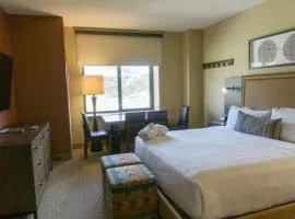 Renovated Studio with All of the Necessities