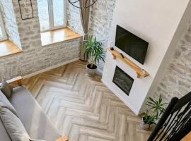 Квітка на камені , Старе місто, з окремим двориком, apartment in Kamianets-Podilskyi