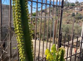 Friendly loft, cheap hotel in Ensenada