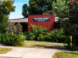 Bellarine Lodge Sleeps 30，Drysdale的Villa