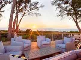Arcadia-Stunning Gulf Front Beauty! home