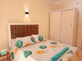 cozy apartment Aircon Downtown Aswan