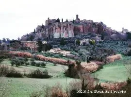 La Rosa di Orvieto