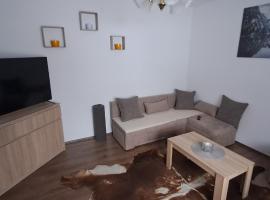 Apartman Regina – apartament w mieście Mrkopalj
