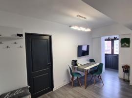 Central Apartment, hotel in Târgu Jiu