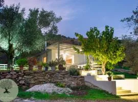 DOLONAS Cosy House