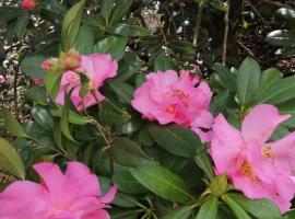 Le Camélia, hotel in Vaux-le-Pénil