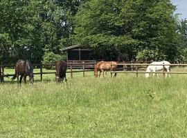 Cozy holiday home on a horse farm in the Lüneburg Heath, hotel with parking in Eschede