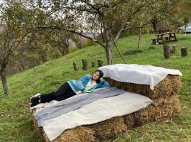 Cumpana Camping, parque de campismo em Băile Olăneşti