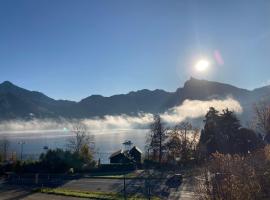 Ferienwohnung Traunkirchen mit Seeblick，特勞恩基興的有停車位的飯店