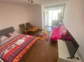 Lovely 1 BR near Arena Nationala with AC and Free Street Parking