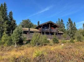 4 Bedroom Stunning Home In Nissedal