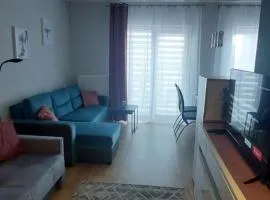 Sweet Home Legionów Apartment