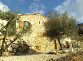 les chambres d'hôtes du mas face au ventoux