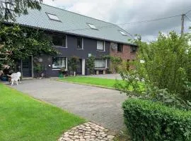 Modern apartment in B llingen with terrace