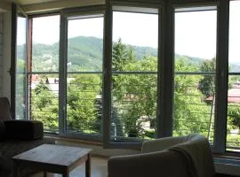 Apartament w Ustroniu