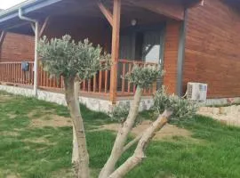 Koruwoodenhouse Alanya Gazipaşa