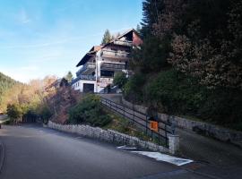 Haus Schwarzwaldblick, hotel Hornbergben