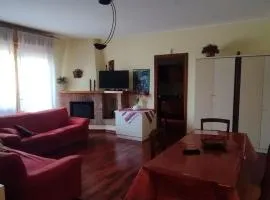 Civico 51Appartamento a Sassuolo