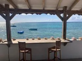 LA MAISON DU LAGON